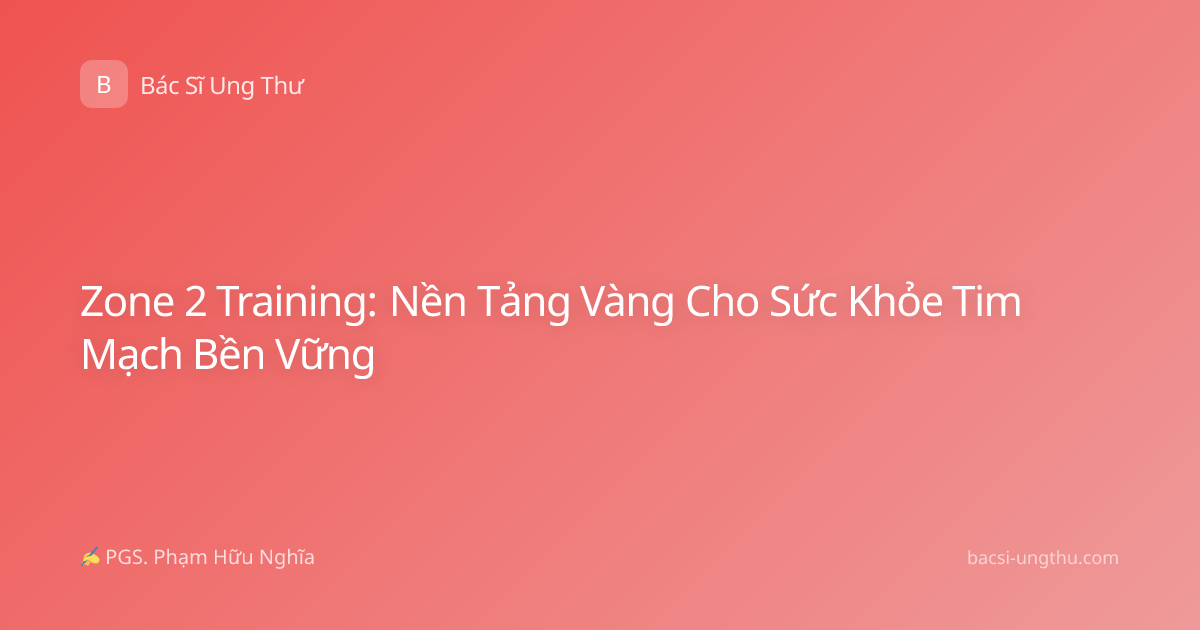 Zone 2 Training: Nền Tảng Vàng Cho Sức Khỏe Tim Mạch Bền Vững